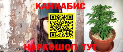 эйфоретик Кингисепп