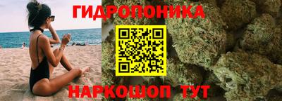 эйфоретик Кингисепп