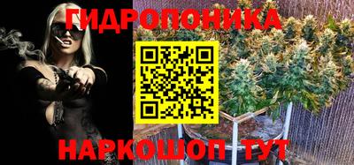 молекула духа Кинель