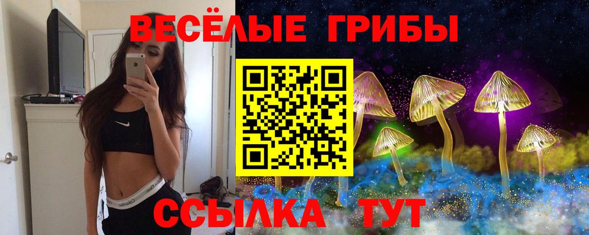 Биробиджан  Галлюциногенные грибы прущие грибы  Вход с VPN  Псилоцибиновые грибы GOLDEN TEACHER 